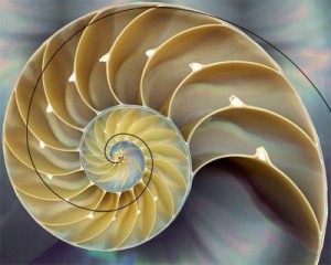 Anel atlante sequencia-fibonacci
